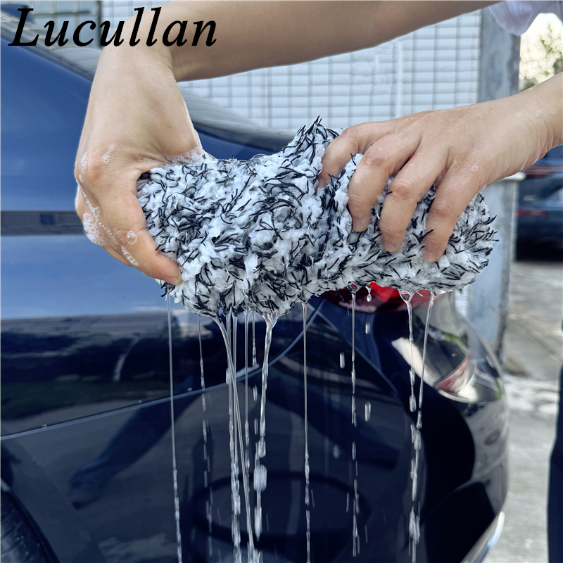 Lucullan Zwei Eimer Methode Mi – Interior Detailing Kit Bewertung und Preis