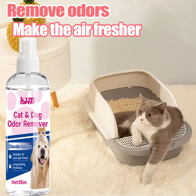 KJM-55ML Leistungsstarker Mehr – Odor Eliminator Car Bewertung und Preis